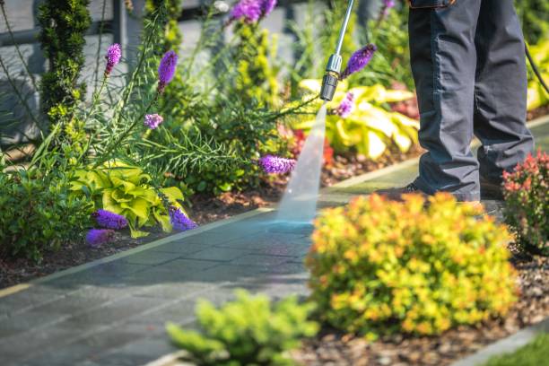 Best Pool Deck Cleaning  in Baxter Estates, NY
