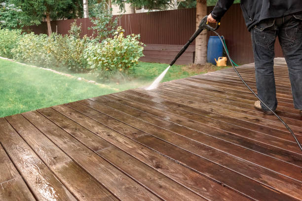 Animal Enclosure Cleaning in Baxter Estates, NY