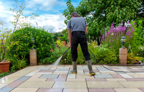 Best Pre-Holiday Cleaning  in Baxter Estates, NY