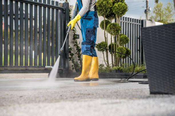 Best Driveway Pressure Washing  in Baxter Estates, NY